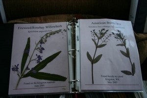 Plant Collection sample page 1